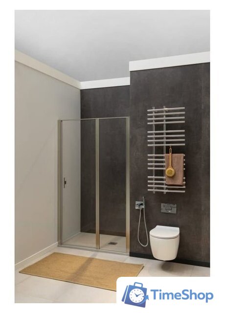 Душевая дверь Allen Brau Priority 3.31032.BA 294061 (серебро браш) - Изображение №5 — Интернет-магазин Time-Shop