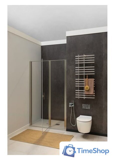 Душевая дверь Allen Brau Priority 3.31032.BA 294061 (серебро браш) - Изображение №6 — Интернет-магазин Time-Shop