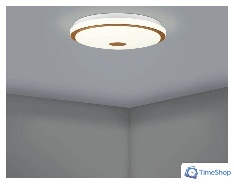 Светильник-тарелка Eglo Lanciano 1 900598 - Изображение №6 — Интернет-магазин Time-Shop