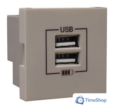 Розетка USB Efapel 45439 SPL - Изображение №1 — Интернет-магазин Time-Shop