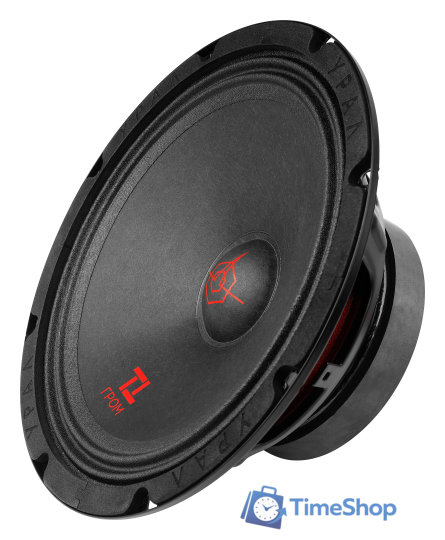 Среднечастотная АС Урал ТТ 200 Гром - Изображение №2 — Интернет-магазин Time-Shop