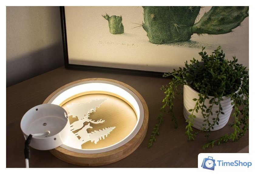 Бра Home Light Астерия C053-1-W - Изображение №3 — Интернет-магазин Time-Shop