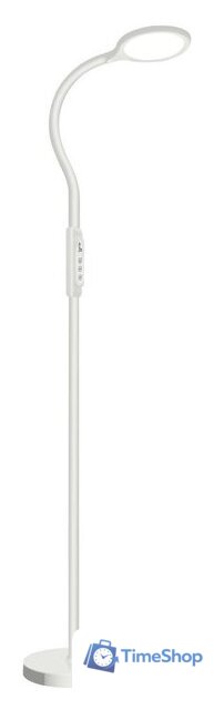 Торшер ArtStyle TL-510W - Изображение №1 — Интернет-магазин Time-Shop