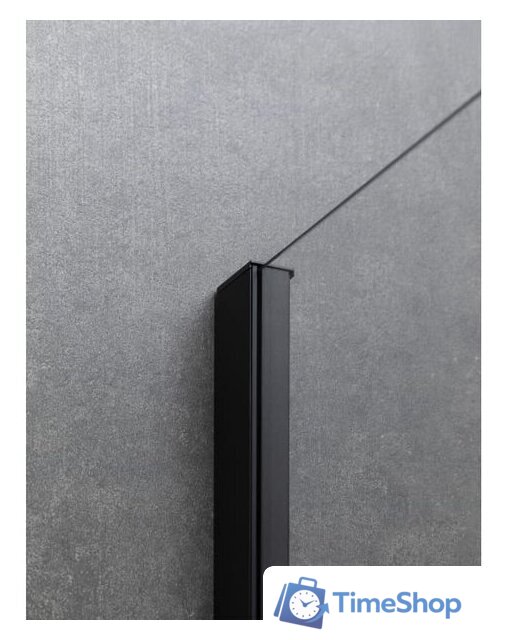 Душевая дверь Allen Brau Priority 3.31033.BBA 294062 (черный браш) - Изображение №5 — Интернет-магазин Time-Shop