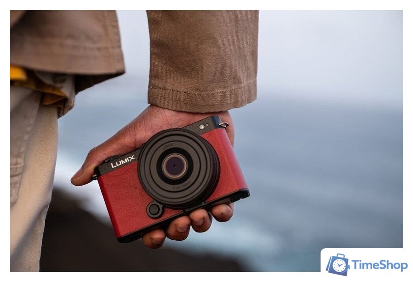 Беззеркальный фотоаппарат Panasonic Lumix S9 Body (белый) - Изображение №7 — Интернет-магазин Time-Shop