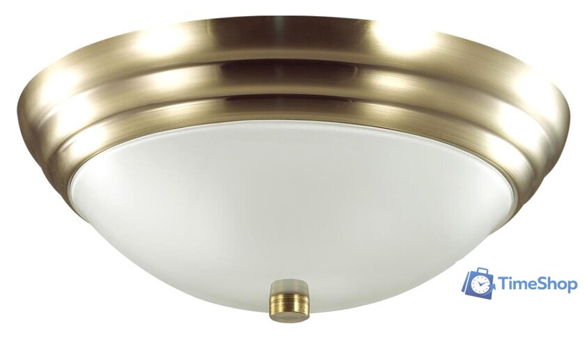 Припотолочная люстра Lumion Kayla 5262/2C - Изображение №1 — Интернет-магазин Time-Shop