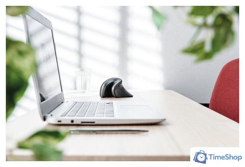 Вертикальная мышь Trust Verro Ergonomic Wireless Mouse - Изображение №12 — Интернет-магазин Time-Shop