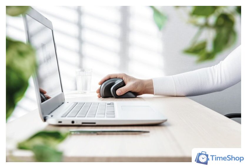 Вертикальная мышь Trust Verro Ergonomic Wireless Mouse - Изображение №11 — Интернет-магазин Time-Shop