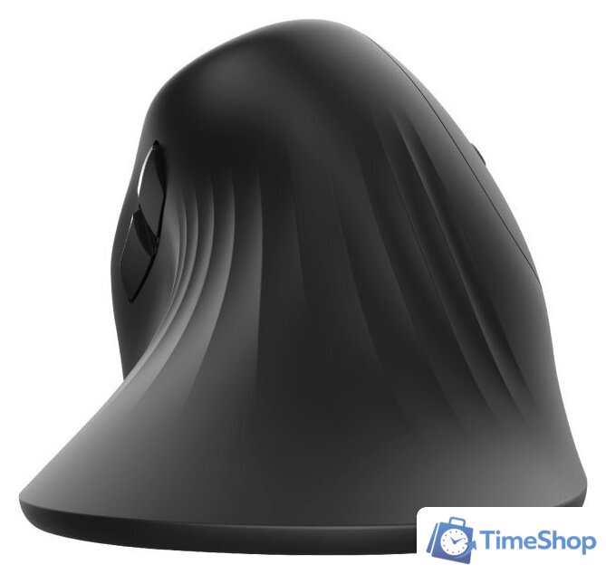 Вертикальная мышь Trust Verro Ergonomic Wireless Mouse - Изображение №6 — Интернет-магазин Time-Shop