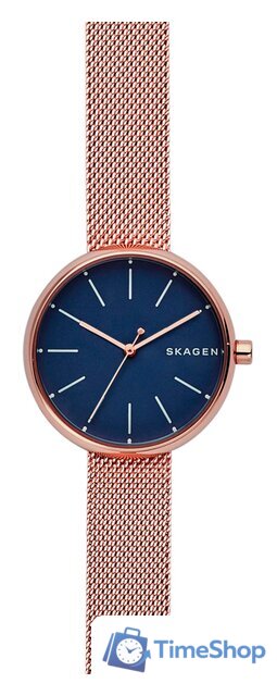 Наручные часы Skagen SKW2593 - Изображение №1 — Интернет-магазин Time-Shop