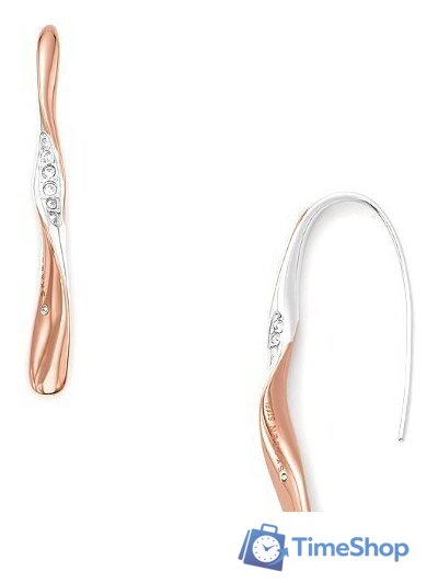 Серьги Skagen SKJ1587998 - Изображение №1 — Интернет-магазин Time-Shop