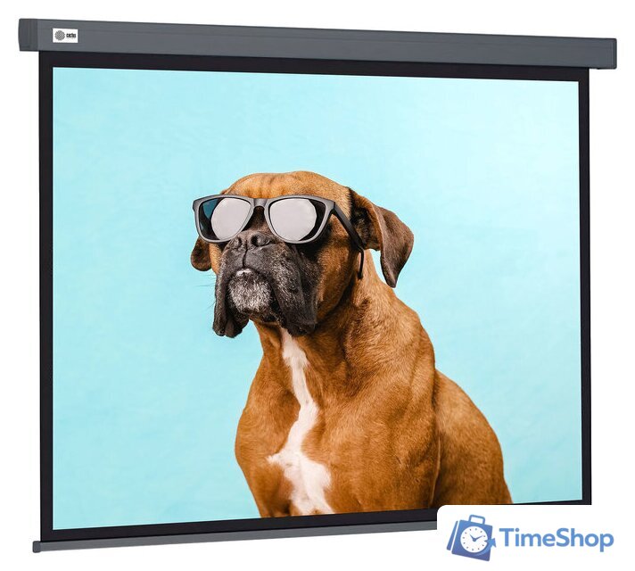 Проекционный экран CACTUS Wallscreen 149x265 CS-PSW-149X265-SG - Изображение №1 — Интернет-магазин Time-Shop