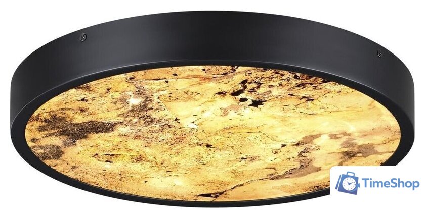 Бра Odeon Light Bergi 5064/24L - Изображение №3 — Интернет-магазин Time-Shop