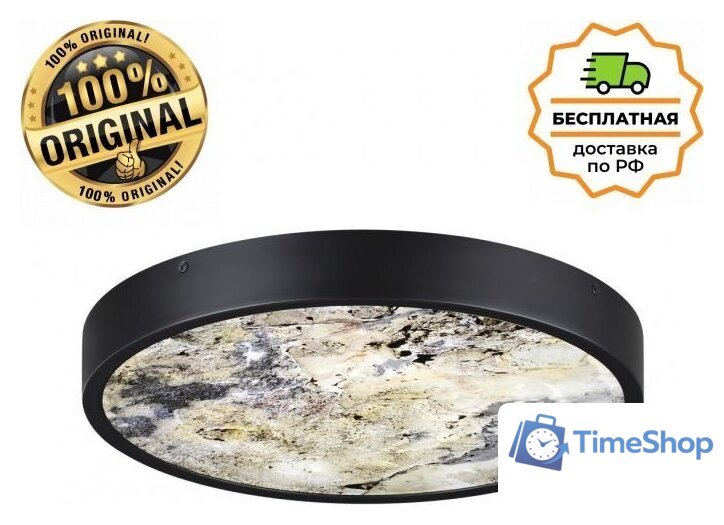 Бра Odeon Light Bergi 5064/24L - Изображение №1 — Интернет-магазин Time-Shop