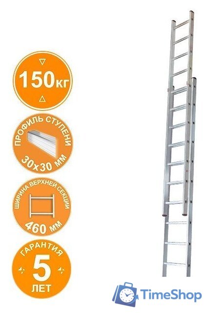 Лестница Новая высота NV 526 двухсекционная раздвижная 2x17 ступеней - Изображение №1 — Интернет-магазин Time-Shop