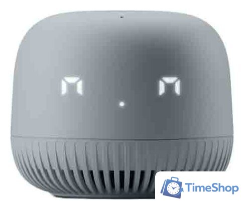 Умная колонка VK Капсула Нео (серый) - Изображение №1 — Интернет-магазин Time-Shop