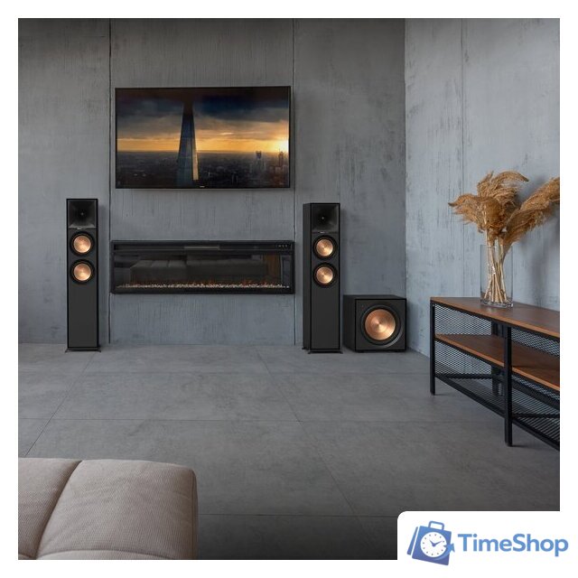 Проводной сабвуфер Klipsch R-101SW - Изображение №6 — Интернет-магазин Time-Shop