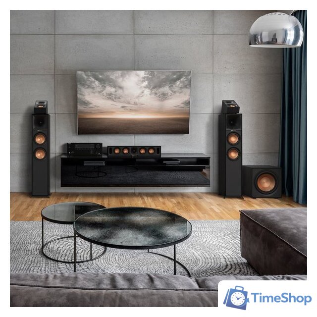 Проводной сабвуфер Klipsch R-101SW - Изображение №4 — Интернет-магазин Time-Shop