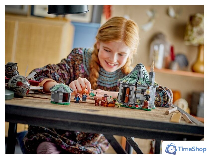 Конструктор LEGO Harry Potter Хижина Хагрида неожиданный визит 76428 - Изображение №8 — Интернет-магазин Time-Shop