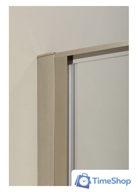 Душевая дверь Allen Brau Priority 3.31035.BA 294064 (серебро браш) - Изображение №9 — Интернет-магазин Time-Shop