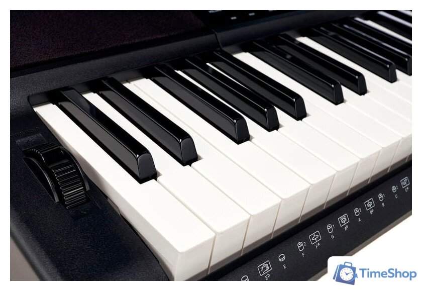Синтезатор Casio CT-X800 - Изображение №13 — Интернет-магазин Time-Shop