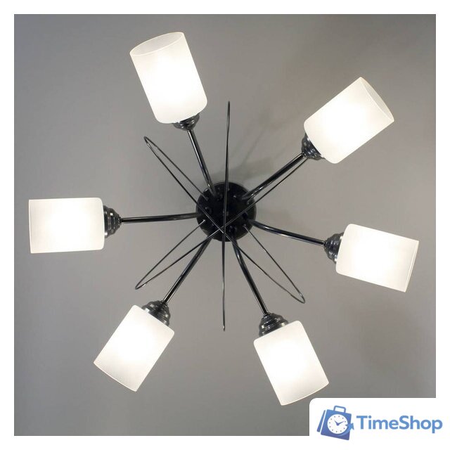 Припотолочная люстра Элетех Орбиталь 161 НСБ 01-6х60-106 Е27 1005404584 (хром) - Изображение №7 — Интернет-магазин Time-Shop