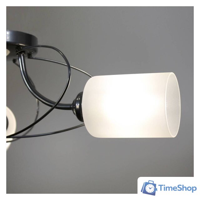 Припотолочная люстра Элетех Орбиталь 161 НСБ 01-6х60-106 Е27 1005404584 (хром) - Изображение №9 — Интернет-магазин Time-Shop