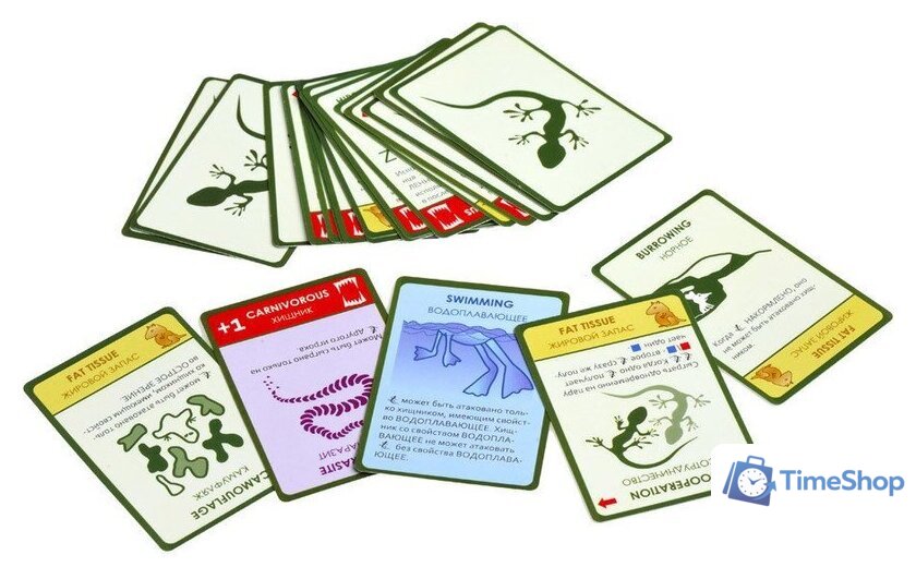 Настольная игра Правильные игры Эволюция. Подарочное издание - Изображение №15 — Интернет-магазин Time-Shop