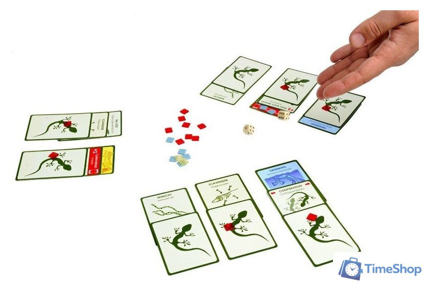 Настольная игра Правильные игры Эволюция. Подарочное издание - Изображение №16 — Интернет-магазин Time-Shop