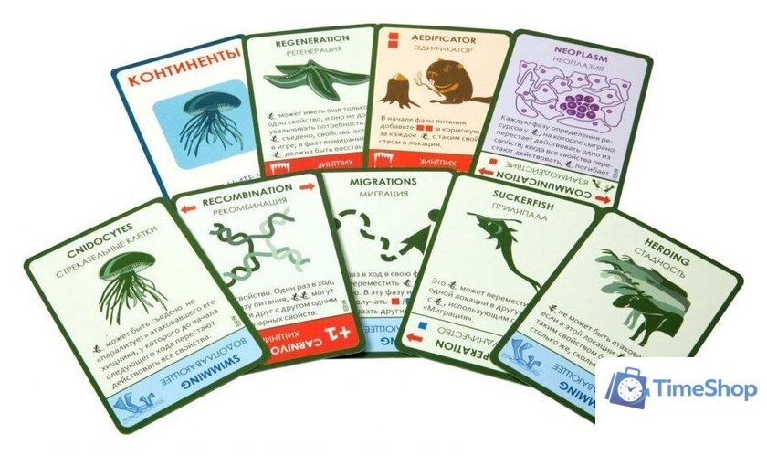 Настольная игра Правильные игры Эволюция. Подарочное издание - Изображение №11 — Интернет-магазин Time-Shop