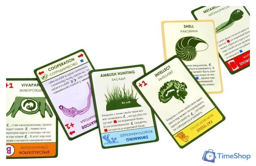 Настольная игра Правильные игры Эволюция. Подарочное издание - Изображение №14 — Интернет-магазин Time-Shop