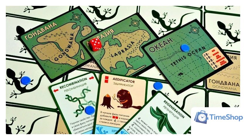 Настольная игра Правильные игры Эволюция. Подарочное издание - Изображение №18 — Интернет-магазин Time-Shop