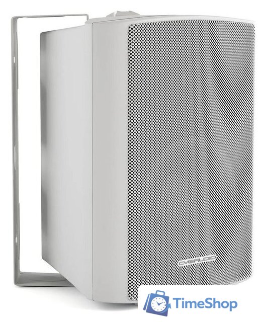 Пассивная акустика CVGaudio NF4TW - Изображение №4 — Интернет-магазин Time-Shop
