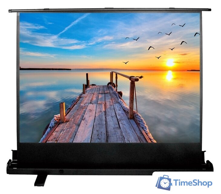 Проекционный экран CACTUS FloorExpert 113x200 CS-PSFLE-200х113 - Изображение №1 — Интернет-магазин Time-Shop
