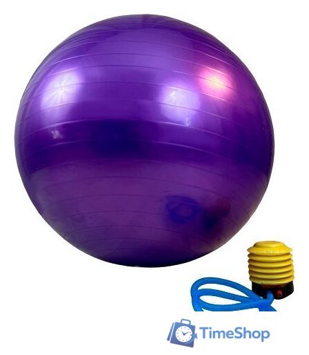 Гимнастический мяч Calviano с насосом 55 см (фиолетовый) - Изображение №1 — Интернет-магазин Time-Shop