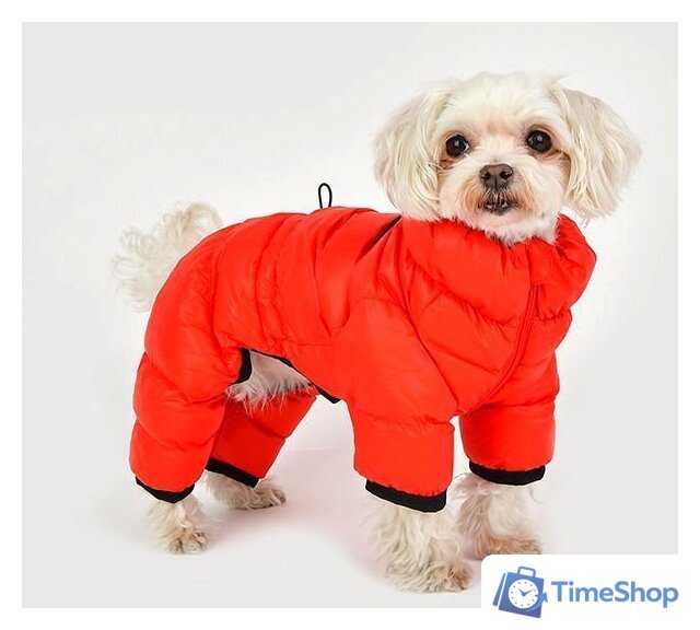 Комбинезон для животных Puppia Jumpesuit B PAPD-JM1673-RD-M (красный) - Изображение №4 — Интернет-магазин Time-Shop