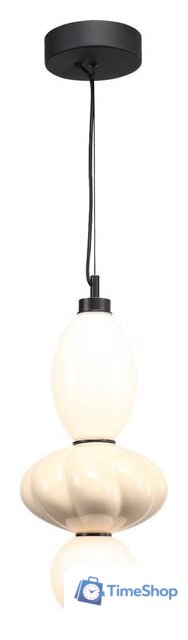 Подвесная люстра ST Luce SL6134.413.01 - Изображение №1 — Интернет-магазин Time-Shop