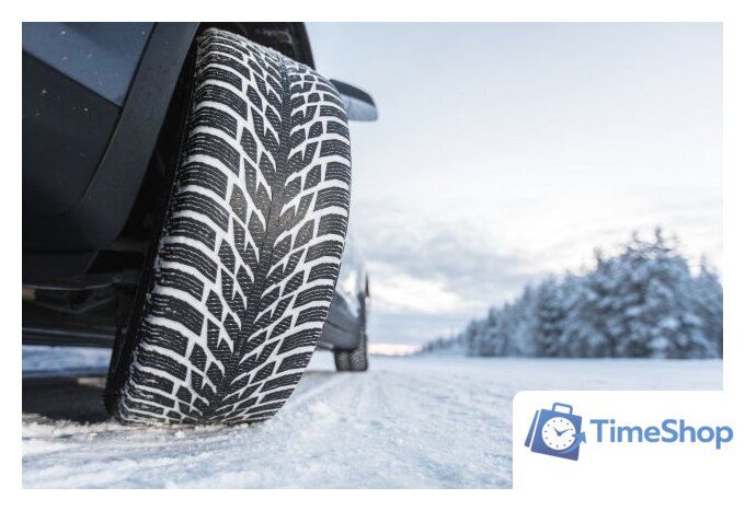Зимние шины Nokian Tyres Hakkapeliitta R3 SUV 255/50R20 109R - Изображение №2 — Интернет-магазин Time-Shop