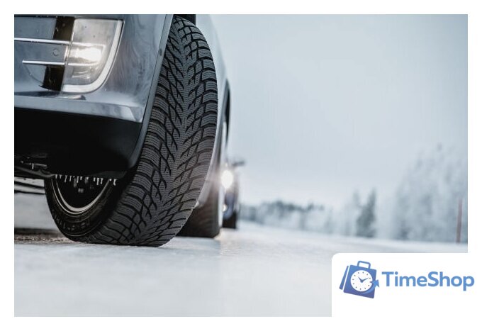 Зимние шины Nokian Tyres Hakkapeliitta R3 SUV 255/50R20 109R - Изображение №3 — Интернет-магазин Time-Shop