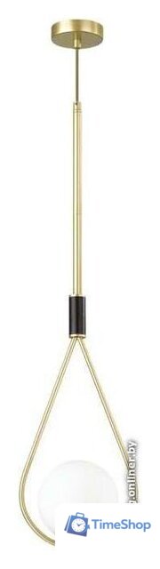 Подвесная люстра Odeon Light Flari 4810/1 - Изображение №1 — Интернет-магазин Time-Shop