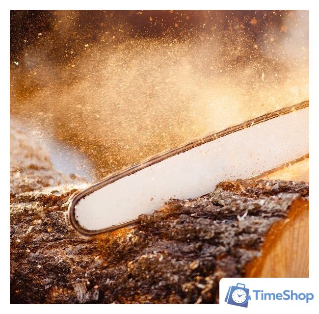 Бензопила Oasis GS-14 - Изображение №5 — Интернет-магазин Time-Shop