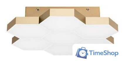 Светильник-тарелка Lightstar Favo 750071 - Изображение №1 — Интернет-магазин Time-Shop