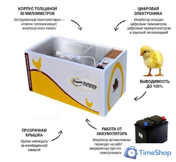 Инкубатор для животных Норма Луппер slkin47a - Изображение №5 — Интернет-магазин Time-Shop