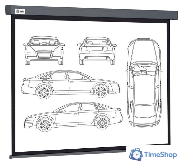 Проекционный экран CACTUS Wallscreen 168x299 CS-PSW-168X299-SG - Изображение №1 — Интернет-магазин Time-Shop