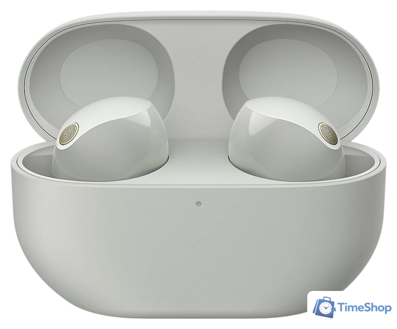 Наушники Sony WF-1000XM5 (серебристый) - Изображение №1 — Интернет-магазин Time-Shop