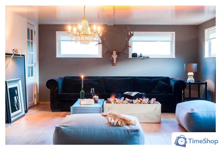 Электрокамин Dimplex Cassette 1000 - Изображение №6 — Интернет-магазин Time-Shop