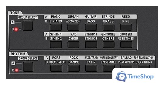 Синтезатор Casio CT-X5000 - Изображение №19 — Интернет-магазин Time-Shop