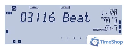 Синтезатор Casio CT-X5000 - Изображение №20 — Интернет-магазин Time-Shop