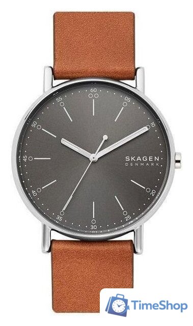 Наручные часы Skagen SKW6578 - Изображение №1 — Интернет-магазин Time-Shop