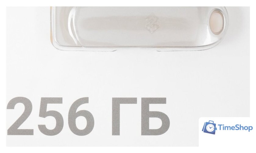 USB Flash Digma Drive 3 256GB DGFUM256A30SR - Изображение №7 — Интернет-магазин Time-Shop